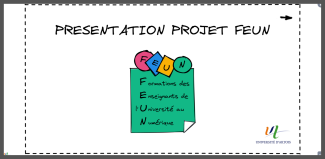Présentation du projet FEUN