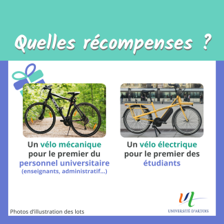 1_pre-challenges_post_reseau-5.png