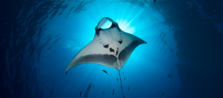  Université d'automne de l'A2U 2025