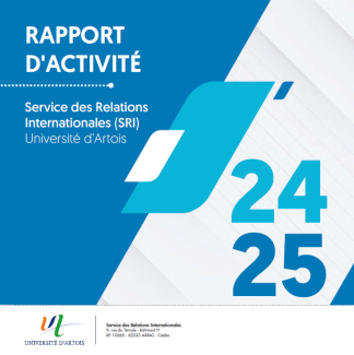 Rapport d'activité du SRI - 2024/2025