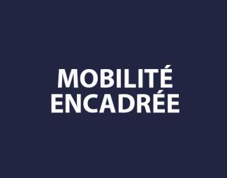 Mobilité encadrée - Programmes d'échanges