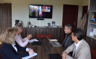 Quatre personnes autour d'une table devant un écran, elles discutent en visioconférence.