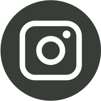 Icône Instagram