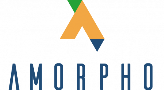 Logo Anamorphose
