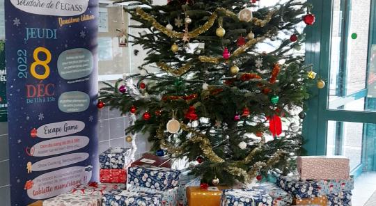 Photo Sapin de Noel et nombreux colis solidaires dans le hall de l'UFR EGASS