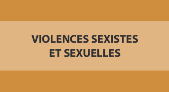 Vignette_Violences sexistes et sexuelles