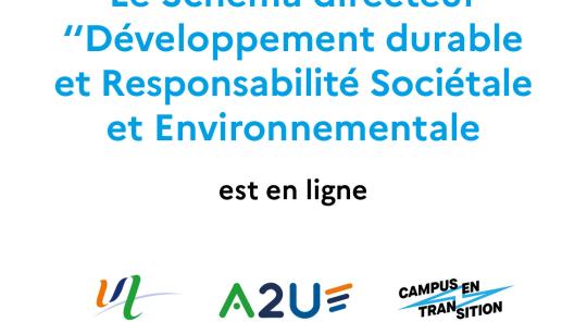 Le schéma directeur "Développement durable et responsabilité sociétale et environnementale"